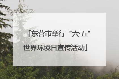 东营市举行“六·五”世界环境日宣传活动