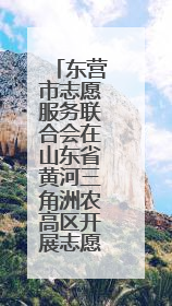 东营市志愿服务联合会在山东省黄河三角洲农高区开展志愿服务活动