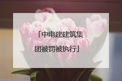 中电建建筑集团被罚被执行