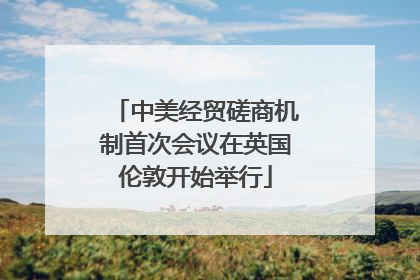 中美经贸磋商机制首次会议在英国伦敦开始举行
