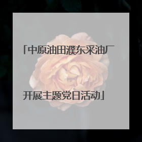 中原油田濮东采油厂开展主题党日活动