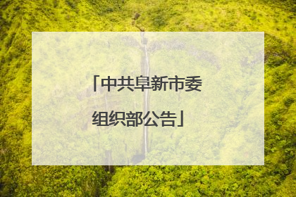 中共阜新市委组织部公告