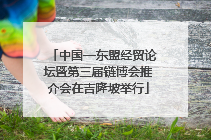 中国—东盟经贸论坛暨第三届链博会推介会在吉隆坡举行