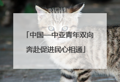 中国—中亚青年双向奔赴促进民心相通