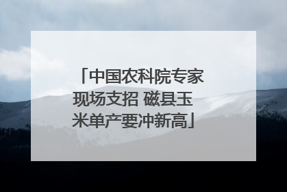 中国农科院专家现场支招 磁县玉米单产要冲新高