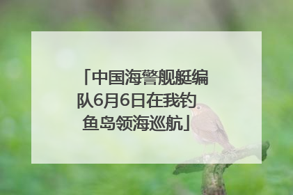 中国海警舰艇编队6月6日在我钓鱼岛领海巡航