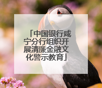 中国银行咸宁分行组织开展清廉金融文化警示教育