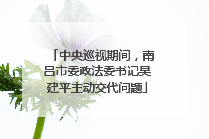 中央巡视期间，南昌市委政法委书记吴建平主动交代问题