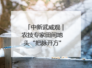 中新武威观｜农技专家田间地头“把脉开方”送“及时雨”