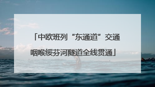 中欧班列“东通道”交通咽喉绥芬河隧道全线贯通