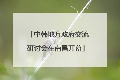 中韩地方政府交流研讨会在南昌开幕
