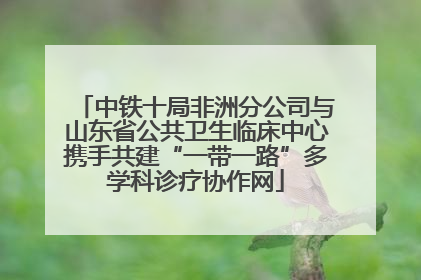 中铁十局非洲分公司与山东省公共卫生临床中心携手共建“一带一路”多学科诊疗协作网