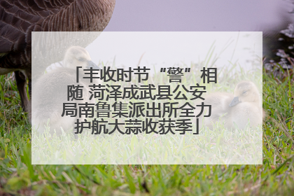 丰收时节“警”相随 菏泽成武县公安局南鲁集派出所全力护航大蒜收获季