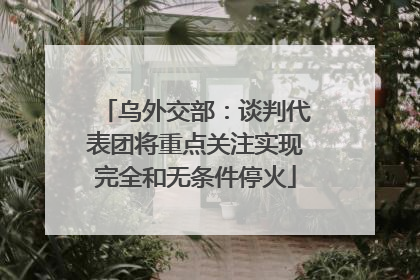 乌外交部：谈判代表团将重点关注实现完全和无条件停火