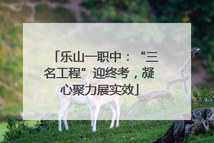 乐山一职中：“三名工程”迎终考，凝心聚力展实效