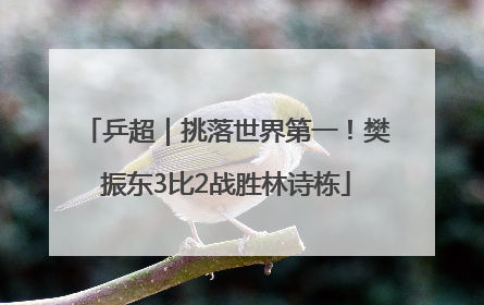 乒超｜挑落世界第一！樊振东3比2战胜林诗栋