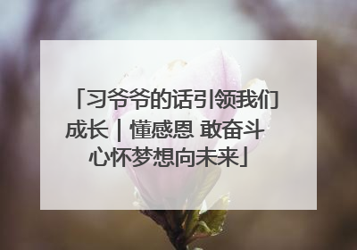 习爷爷的话引领我们成长｜懂感恩 敢奋斗 心怀梦想向未来