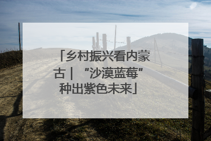 乡村振兴看内蒙古｜“沙漠蓝莓”种出紫色未来