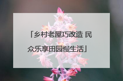 乡村老屋巧改造 民众乐享田园慢生活