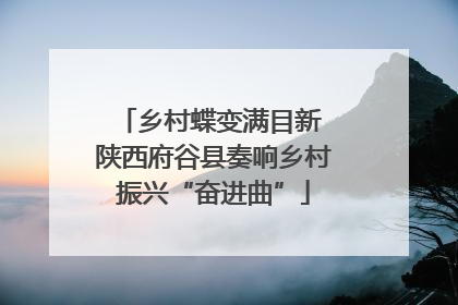 乡村蝶变满目新 陕西府谷县奏响乡村振兴“奋进曲”