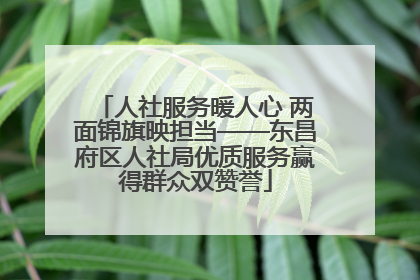 人社服务暖人心 两面锦旗映担当——东昌府区人社局优质服务赢得群众双赞誉