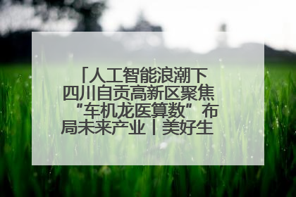 人工智能浪潮下 四川自贡高新区聚焦“车机龙医算数”布局未来产业丨美好生活有“盐”味