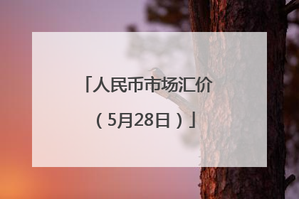 人民币市场汇价（5月28日）