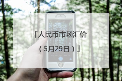 人民币市场汇价（5月29日）
