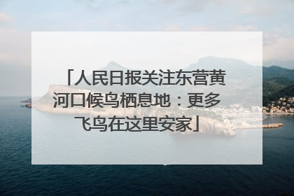 人民日报关注东营黄河口候鸟栖息地：更多飞鸟在这里安家