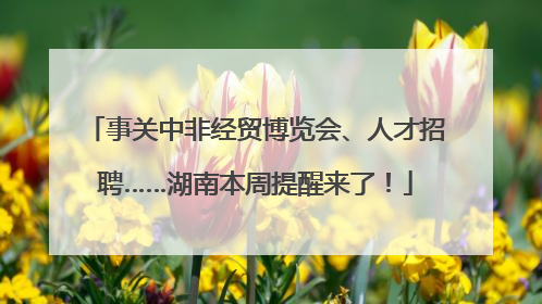 事关中非经贸博览会、人才招聘……湖南本周提醒来了！