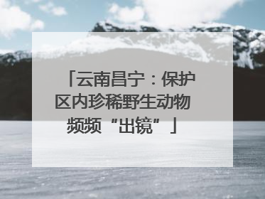 云南昌宁：保护区内珍稀野生动物频频“出镜”