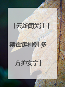 云新闻关注丨禁毒铸利剑 多方护安宁