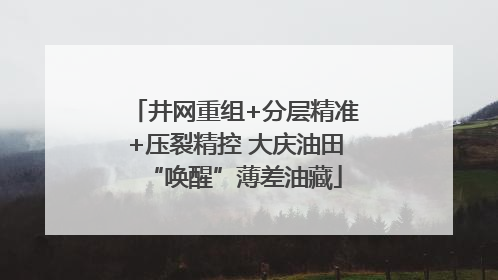 井网重组+分层精准+压裂精控 大庆油田“唤醒”薄差油藏