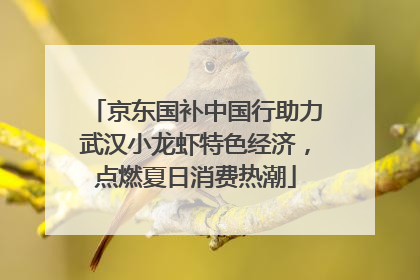京东国补中国行助力武汉小龙虾特色经济，点燃夏日消费热潮