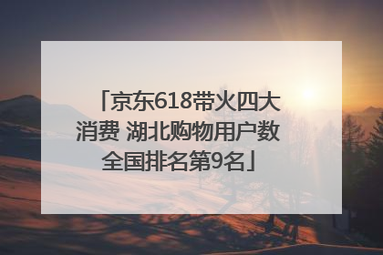 京东618带火四大消费 湖北购物用户数全国排名第9名
