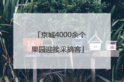 京城4000余个果园迎接采摘客