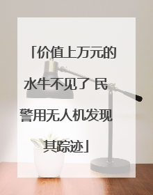 价值上万元的水牛不见了 民警用无人机发现其踪迹