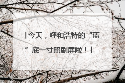 今天，呼和浩特的“蓝”底一寸照刷屏啦！