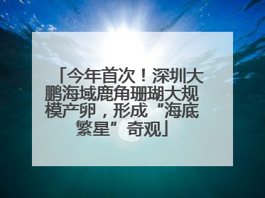 今年首次！深圳大鹏海域鹿角珊瑚大规模产卵，形成“海底繁星”奇观