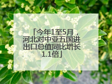 今年1至5月，河北对中亚五国进出口总值同比增长1.1倍