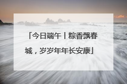 今日端午丨粽香飘春城，岁岁年年长安康