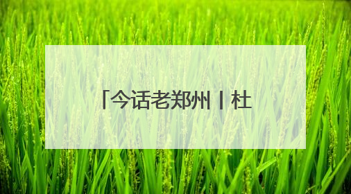 今话老郑州丨杜岭街：由村落得名，因方鼎惊世