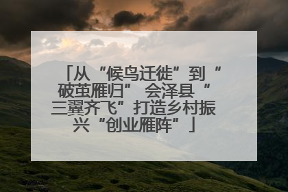 从“候鸟迁徙”到“破茧雁归” 会泽县“三翼齐飞”打造乡村振兴“创业雁阵”