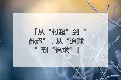 从“村超”到“苏超”，从“追球”到“追求”