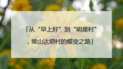 从“早上好”到“明星村”，常山达塘村的蝶变之路