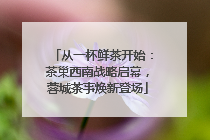 从一杯鲜茶开始：茶巢西南战略启幕，蓉城茶事焕新登场