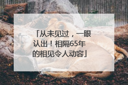 从未见过，一眼认出！相隔65年的相见令人动容