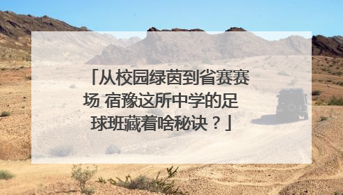 从校园绿茵到省赛赛场 宿豫这所中学的足球班藏着啥秘诀？