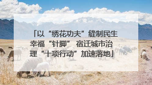 以“绣花功夫”缝制民生幸福“针脚” 宿迁城市治理“十项行动”加速落地
