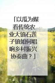 以瓜为媒 看传统农业大镇石莲子镇如何唱响乡村振兴协奏曲？